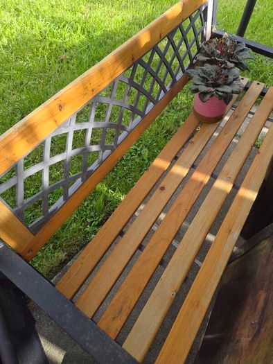 garden furniture, table, bench