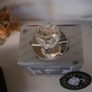 owl crystal glass Image 4