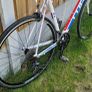 Cube Peloton race ( serviced )( delivery ) Image 2