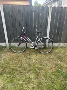 goldrush ladies bike