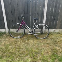 goldrush ladies bike