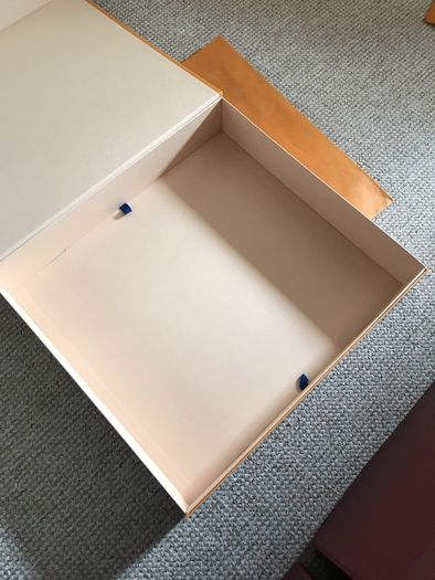Louis Vuitton box and carry bag