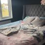 Ottoman bed Image 4