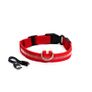 Dog Safety Pack Image 4