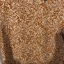 top size 14 Image 4