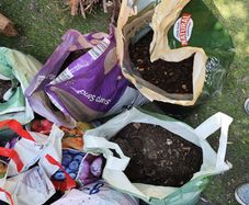 Beautiful Ballinteer Fresh Soil