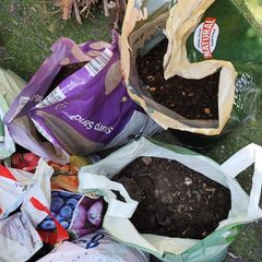 Beautiful Ballinteer Fresh Soil