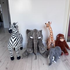 Safari animals to go together