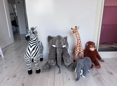 Safari animals to go together