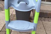 Toilet training seat with step