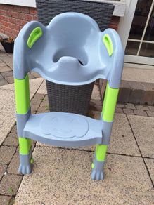 Toilet training seat with step
