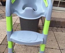 Toilet training seat with step