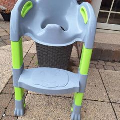 Toilet training seat with step