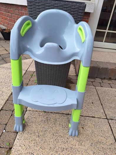 Toilet training seat with step