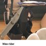wee rider Image 3