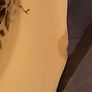 old foley taurine ( small chip ) outer rim Image 3