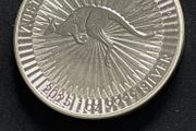 1oz Silver coin