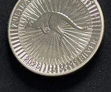 1oz Silver coin