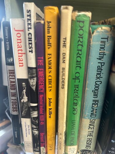 Bundle of Irish Interest Books