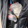 Fold Up Bicycle Brand New Adults Image 3