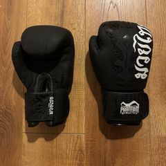 Phantom Athletics Boxing Gloves 12oz