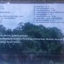 6 IRISH cds.some hard to come by 70e Image 6