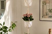 3 pots  hangers pots not included