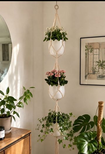 3 pots  hangers pots not included