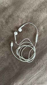 EarPods (Lightning Connector)
