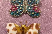 Brooches