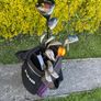 Ladies golf set and PING Image 3