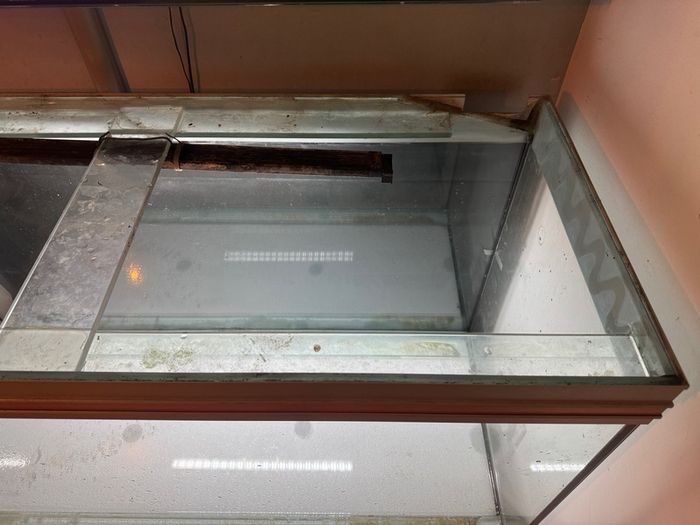 Free fish tank