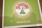 The 13th Floor Elevators - Headstone: The Contact Sessions (Limited Edition, Remastered)
