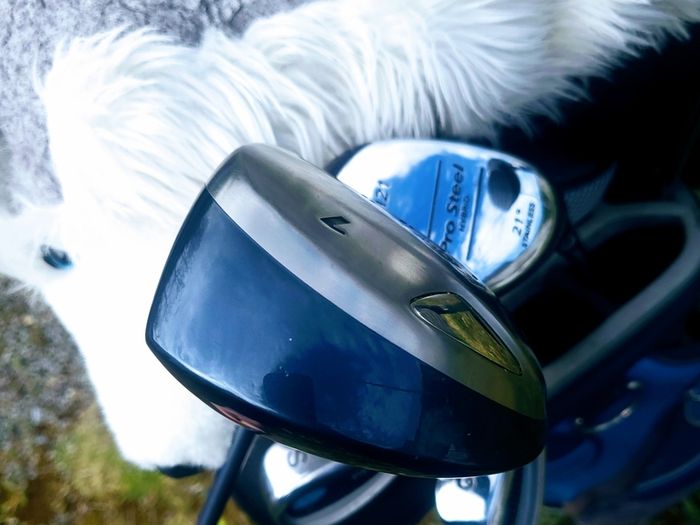 Set of Ladies Golf Clubs