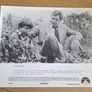WITNESS Movie Press Kit Harrison Ford Image 2