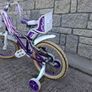 16 inch bike Image 2
