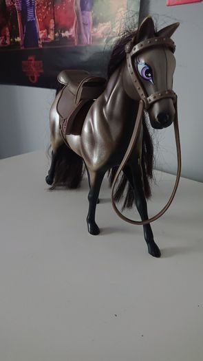 Horses
