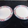Antique Intro  Plates Image 3