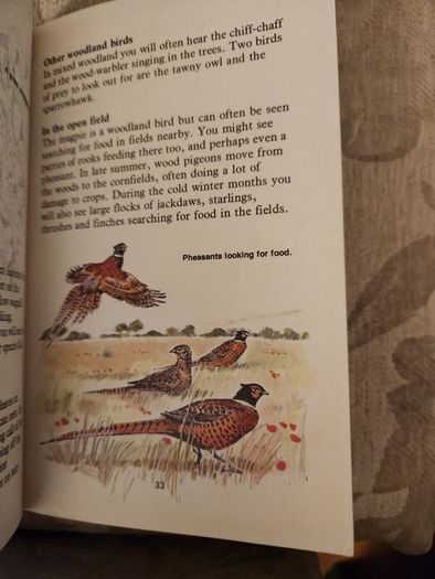 Whizz Kids. Birdwatching First Edition Vintage 1979 Paperback In Good Condition. 36.