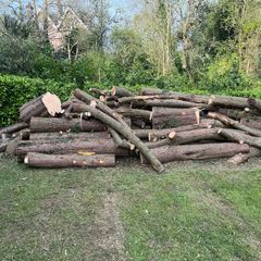 Timber