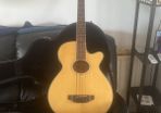 acoustic Bass
