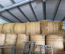Hay