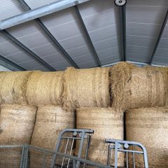 Hay