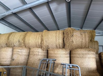 Hay