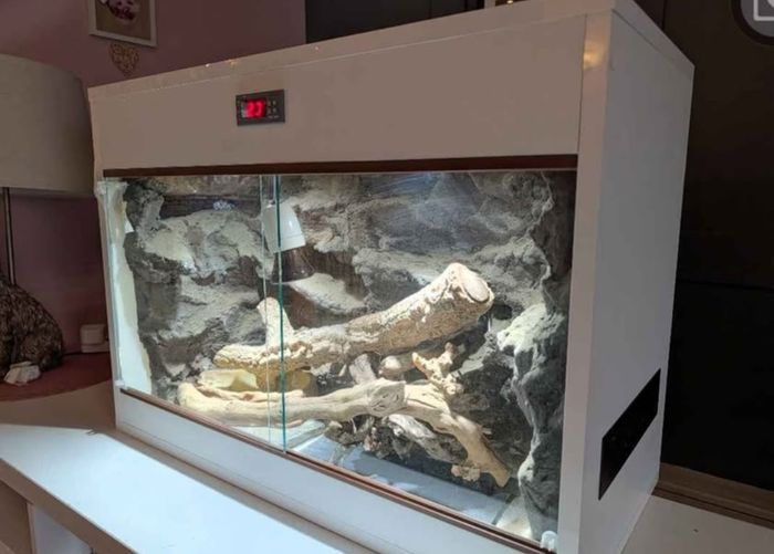 Reptile Vivarium/Tank