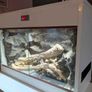 Reptile Vivarium/Tank Image 2