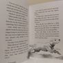 Come Down Golden, Children,s Story Book By Diana Noonan Image 6