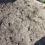 Free Dirt Image 2