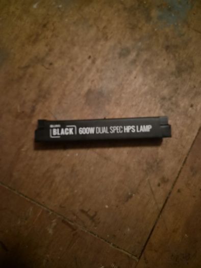 Black Orchid 600W HPS Grow Light Kit
