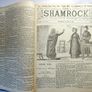 The SHAMROCK. 51 editions. National Magazine of Ireland News politics Illustrated. 1892. Rare antique book, novel. Image 4